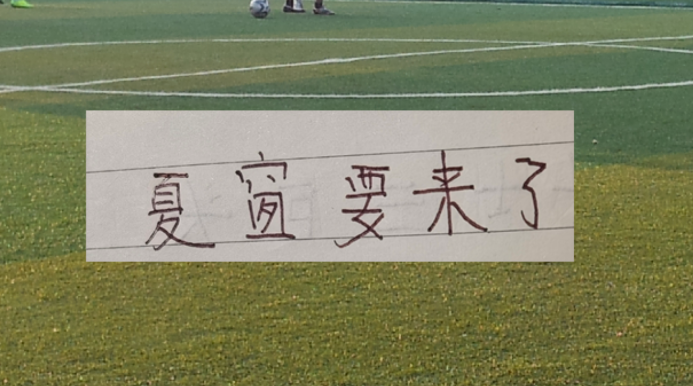 尼克斯夺冠！新赛季30队实力排行谁主沉浮