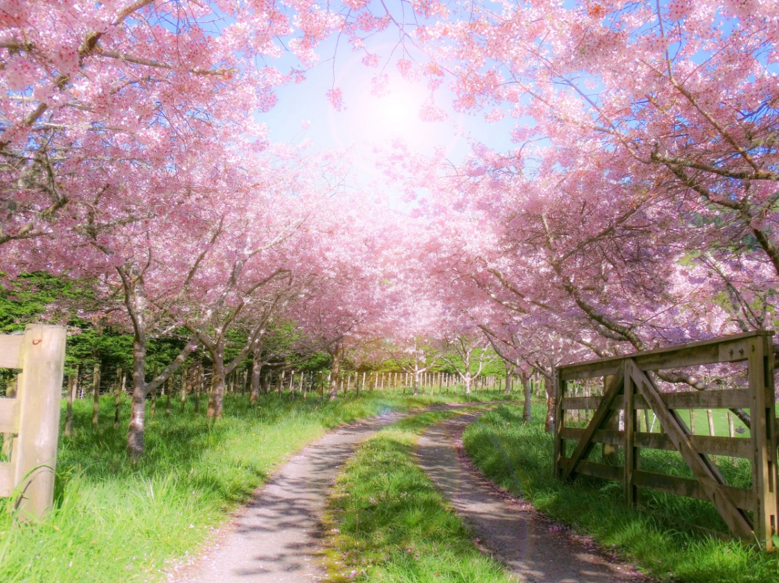 以和为贵,今日4场比赛皆以平局收场,追平此前4天平局总数